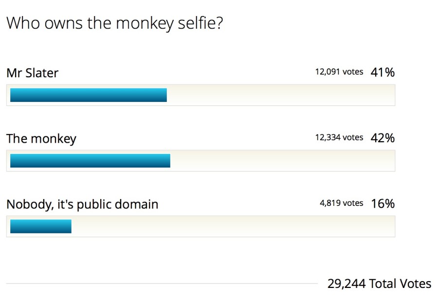 Who_owns_the_monkey_selfie__-_Results__poll_8229895_