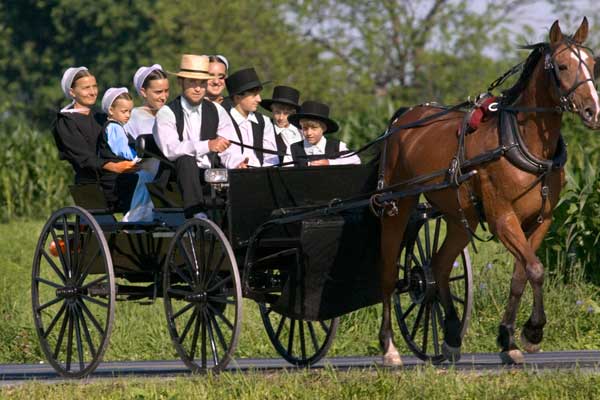 amish-family-in-buggy8