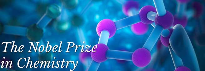the_nobel_prize_in_chemistry