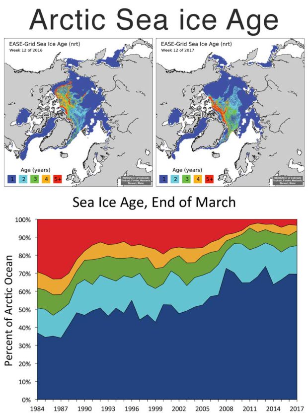 arctic sea ice age