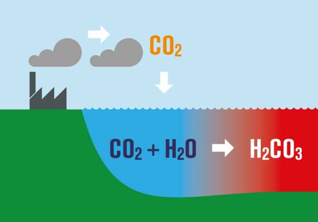 ocean acidification 