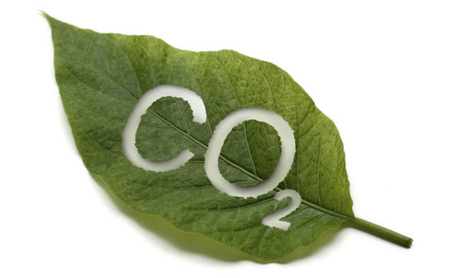 Lamar Smith believe more CO2 is good for the planet