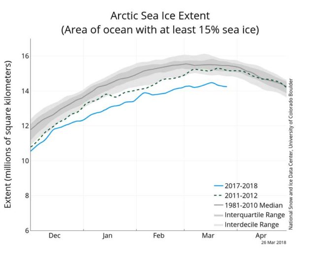 sea ice