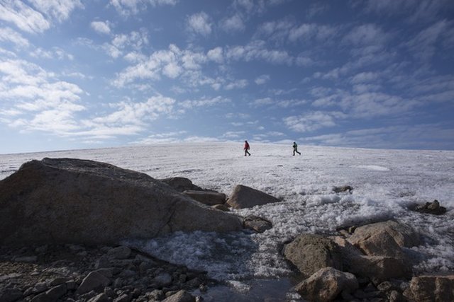 arctic tundra