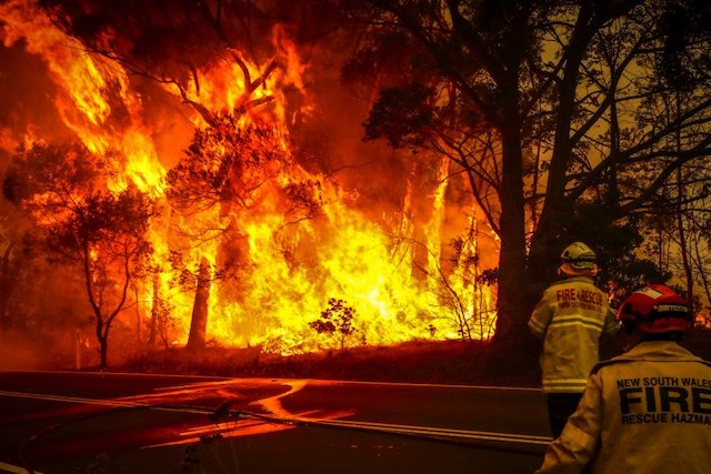 claim that bushfires caused by arson is fake news