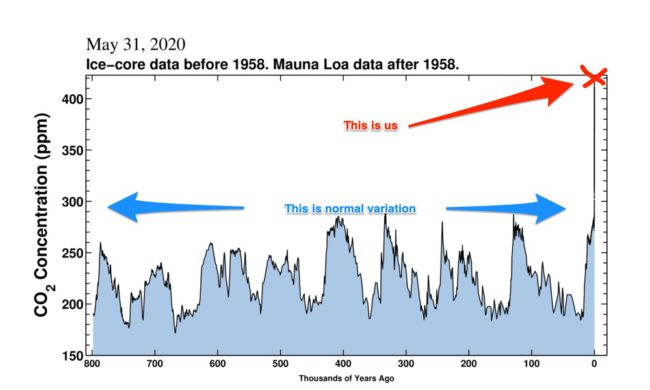 CO2 emissions